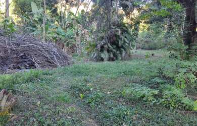 Imagem 2: Vendo Terrenos no bairro Maravilha em Paty do Alferes - RJ