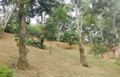 Imagem 5: Vendo Terreno no bairro Encanto de Paty - Paty do Alferes/RJ