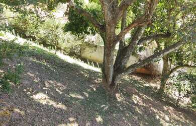 Imagem 7: Vendo Casa no bairro Mantiquira em Paty do Alferes - RJ