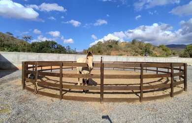 Imagem 12: Vendo Sítio no bairro Maravilha em Paty do Alferes - RJ