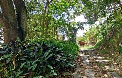 Imagem 6: Vendo Sítio no bairro Maravilha em Paty do Alferes - RJ