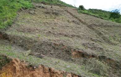 Imagem 4: Vendo Terreno no bairro Retiro das Palmeiras em Miguel Pereira - RJ