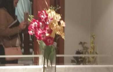 Imagem 8: Apartamento 156m² Vila Bastos, Santo André/SP - 3 Suítes , Sendo uma...