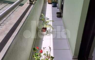 Imagem 11: Apartamento sem condomínio 126m² com 3 dormitórios e 3 vagas para alugar...