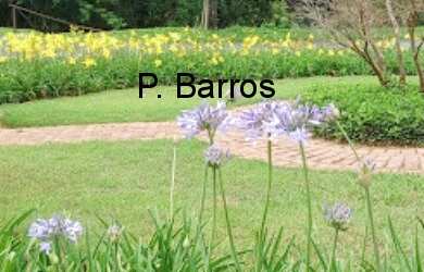 Imagem 8: 854M² de Área Total