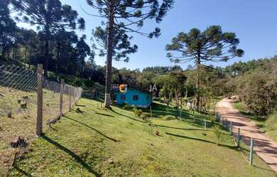 Imagem 3: CHACARA RURAL em Campo Largo - PR, Retiro