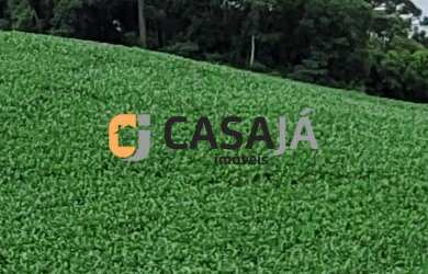 Imagem: A chácara possui 41.378m² de Área e está localizado em