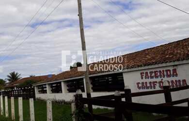 Imagem 15: Vendo excelente fazenda no município de Condeúba, com infraestrutura...