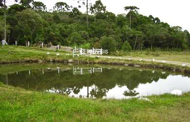 Imagem: A chácara possui 3 Dormitórios, 2 Banheiros, 338.800m² de