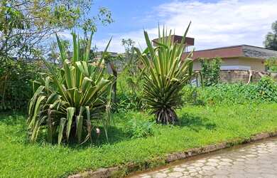 Imagem 3: Terreno para venda com 530m² no Condomínio Morada da Praia em Boracéia...