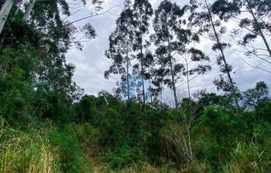 Imagem: O terreno à venda possui 3000m² de Área Privada e está localizado