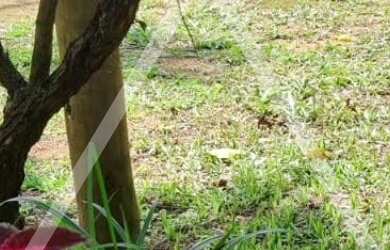 Imagem 11: SITIO RURAL em JURUAIA - MG, JURUAIA