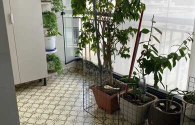 Imagem 8: RR9491 Apartamento 63m² CONDOMÍNIO LIFE PARK - OPORTUNIDADE - 2 Dorms 1 Vaga - Barueri, SP