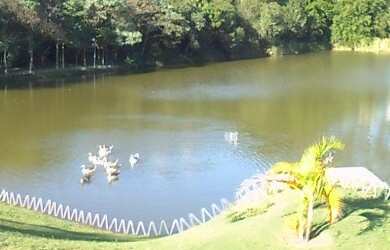 Imagem 9: RR8966 Casa 301m² CONDOMÍNIO NEW VILLE - OPORTUNIDADE - Santana de Parnaíba,...