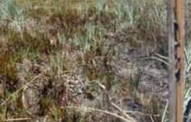 Imagem: O terreno está localizado em Zona Rural, Itaporanga D'ajuda