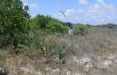 Imagem 3: Venda de Loteamento denominado Chácara do Abaís, Povoado de Caueira-...