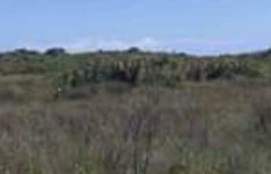 Imagem 6: Venda de Loteamento denominado Chácara do Abaís, Povoado de Caueira-...