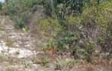 Imagem 5: Venda de Loteamento denominado Chácara do Abaís, Povoado de Caueira-...