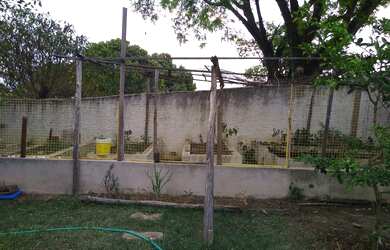 Imagem 14: CHACARA RESIDENCIAL em Indaiatuba - SP, Sítios de Recreio Jardins de Itaici