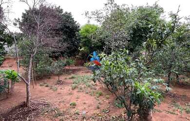 Imagem 9: Terreno a Venda. 600m² de Área Privada