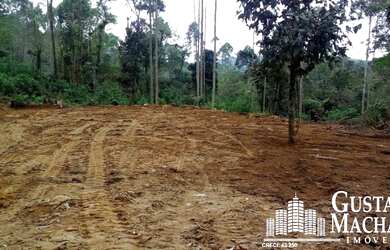 Imagem 4: Terreno - Bananal. 30.000m² de Área