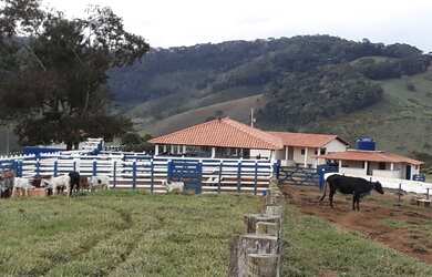 Imagem: A fazenda possui 5 Dormitórios, 5 Suítes, 5 Banheiros, 5 Vagas