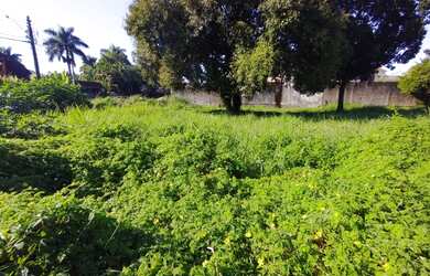 Imagem: O terreno possui 750m² de Área Privada e está localizado