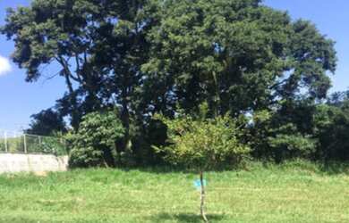 Imagem: O terreno possui 1.050m² de Área e está localizado em Tampanhão