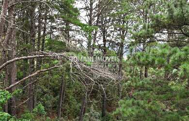 Imagem 13: 2020M² de Área Total. 2.020m² de Área