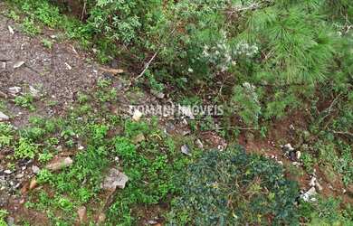 Imagem 3: 2020M² de Área Total. 2.020m² de Área