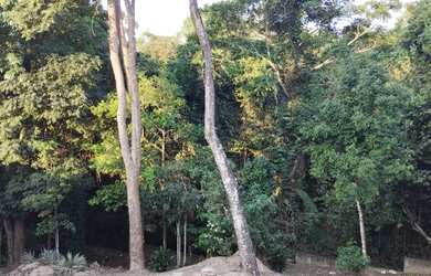 Imagem 8: Apartamento à venda em Morada de Laranjeiras, Serra-ES 2 quartos, 1 sala,...