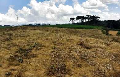 Imagem 2: Excelente Chácara, 4 dormitórios na Rua De Servidão