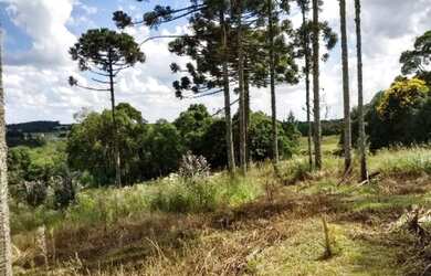 Imagem 3: Excelente Chácara, 4 dormitórios na Rua De Servidão