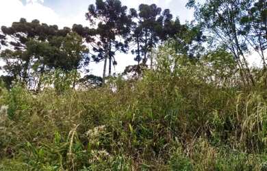 Imagem 5: Excelente Chácara, 4 dormitórios na Rua De Servidão
