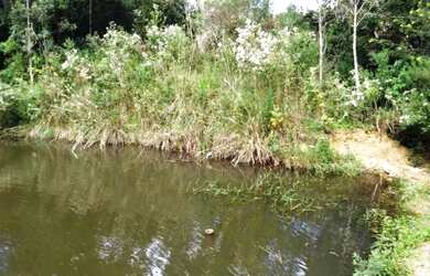 Imagem 6: Excelente Chácara, 4 dormitórios na Rua De Servidão