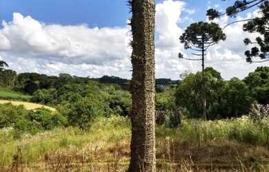 Imagem 9: Excelente Chácara, 4 dormitórios na Rua De Servidão