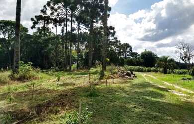 Imagem 13: Excelente Chácara, 4 dormitórios na Rua De Servidão