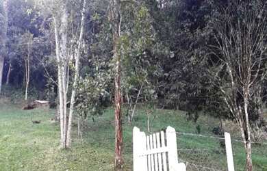 Imagem 3: Belíssima Chácara, 4 dormitórios na Rua Servidão