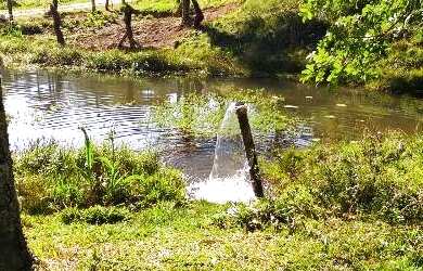 Imagem: A chácara possui 24.000m² de Área e está localizado em