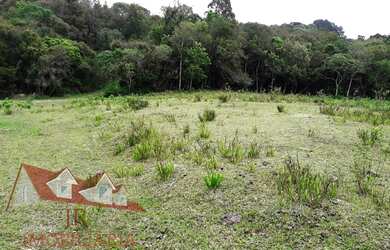 Imagem: Excelentes Chácaras Sem Benfeitorias