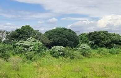 Imagem: O terreno possui 20.000m² de Área Privada e está localizado