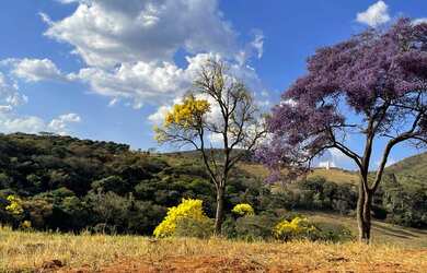 Imagem: A fazenda possui 2m² de Área e está localizado em Piedade