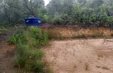 Imagem: A fazenda possui 10000m² de Área e está localizado em Nova
