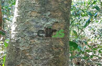 Imagem: A fazenda possui 1 Dormitório, 1 Banheiro, 9.000m² de Área