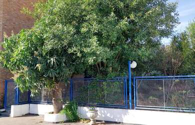 Imagem 15: casa jundiaí, 8 dormitórios na Rua Brasil