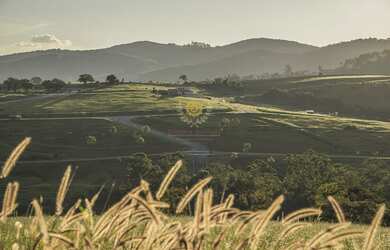 Imagem 9: Lote residencial para venda Loteamento Fazenda Dona Carolina - Bezerra Imóveis Bragança Pa