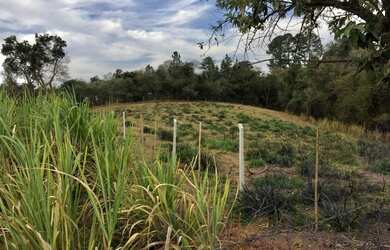 Imagem: O terreno possui 5.600m² de Área Privada e está localizado