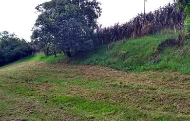 Imagem: O terreno possui 3 Dormitórios, 2 Suítes e 76996m² de Área