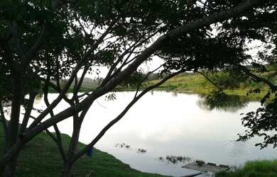 Imagem: A casa possui 4 Dormitórios, 2 Suítes, 4 Vagas na garagem