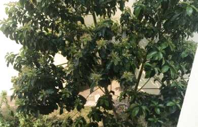 Imagem 3: APARTAMENTO RESIDENCIAL em INDAIATUBA - SP, JARDIM JULIANA